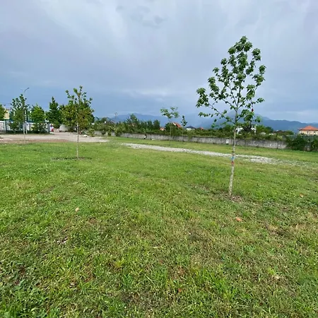 Campingplatz Tree Olives *