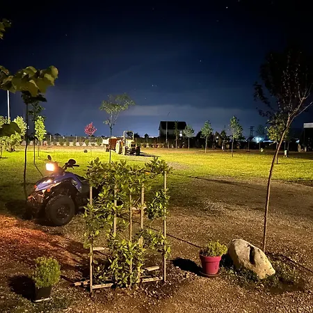 Tree Olives キャンプ場 *