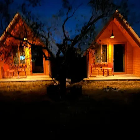 Tree Olives Camping *