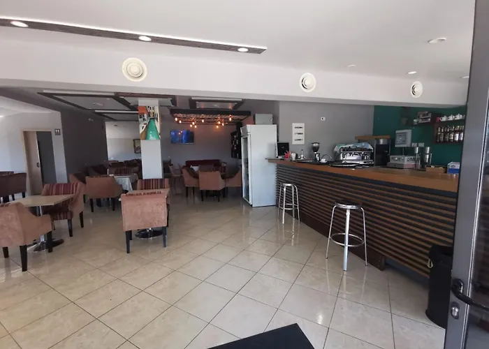 Tree Olives Shkodër