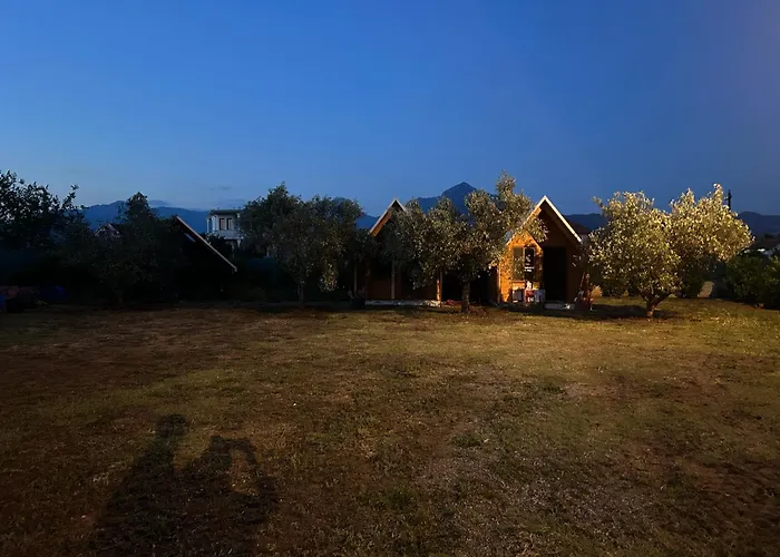 Tree Olives キャンプ場 Shkodër