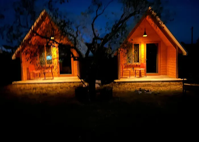 Tree Olives Camping *