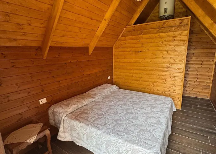 キャンプ場 Tree Olives