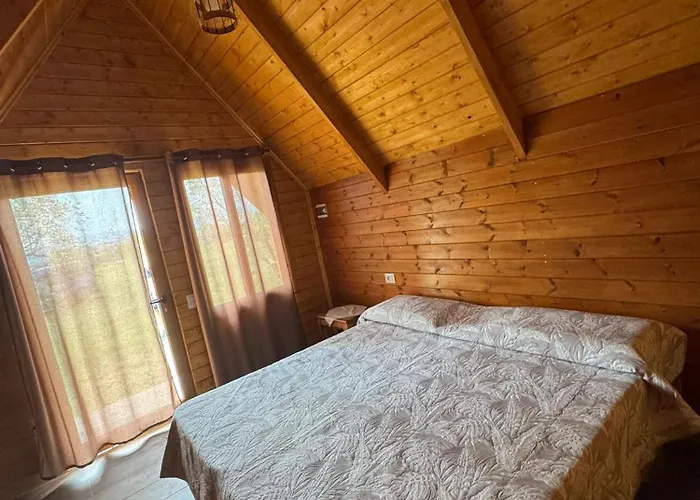 Camping Tree Olives Shkodër