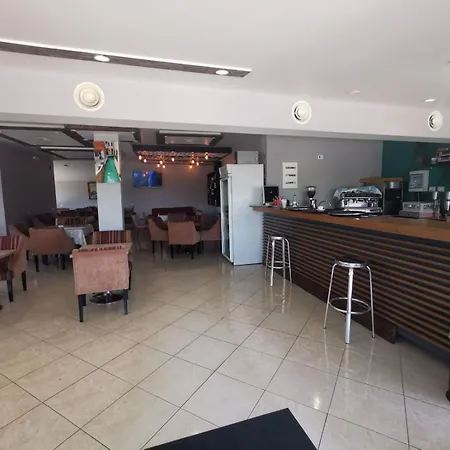 Tree Olives Shkodër